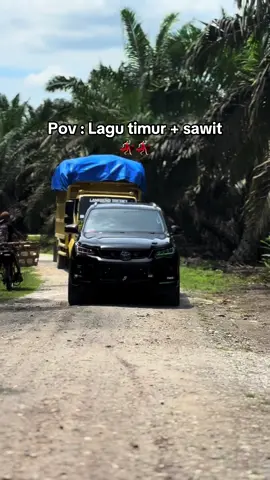 🤩🤩#sawitontiktok #sawitriau #fyp #fypシ゚viral #langgengtresno 