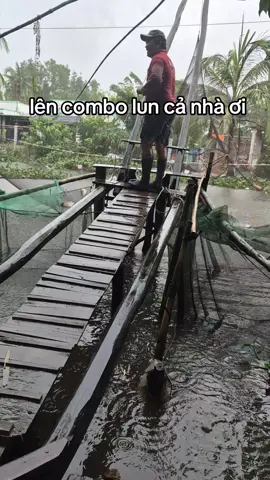 #xaykenhtiktok #xuhuong #đatgio #mientayquetoi #catuong 