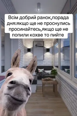 #рекомендации #топ #лайк #комент #подпишись 