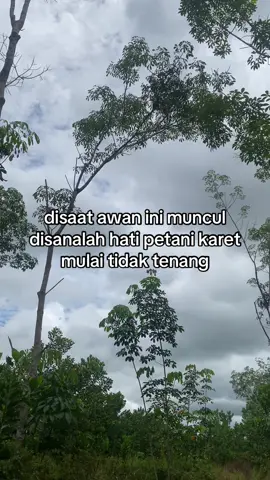 bener gk bolo#petani#petanimilenial#petanikaret#petaniindonesia🇮🇩🇮🇩🇮🇩🌿🌿 