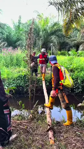 lika-liku perjalanan surveyor, keluar masuk hutan rawa dan kelapa sawit💪 #fyp #surveyor 
