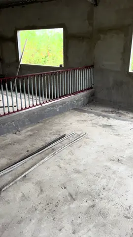 Sắp sửa lên hình để chào đón những lứa lợn đầu tiên