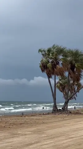 #في هذا اليوم 