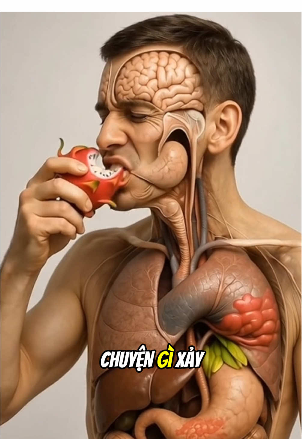 Bạn có biết khi bạn ăn trái thanh long cơ thể sẽ thay đổi như thế nào không 👍 #healthy #thanhlong #depda #ngungon #chamsocsuckhoe 