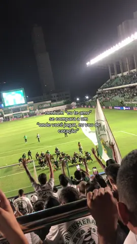 💚 #goias #gec #goiasec 