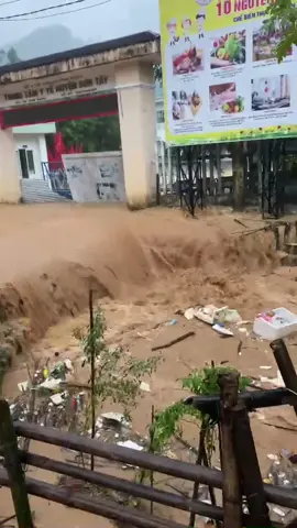 ⚠️ Ngay lúc này, tại khu vực trước cổng Trung tâm Y tế Sơn Tây. Nguồn: Sở Y tế cung cấp. #dthquangngaimcv #baodientuquangngai #quangngai #bãosố12 #bão 