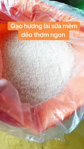 gạo hương lài sữa mềm dẻo thơm ngon lắm ạ giá đang sale mạnh #gaohuonglaideothom #gaohuonglai#xuhuong #xuhuongtiktok #hoasake 