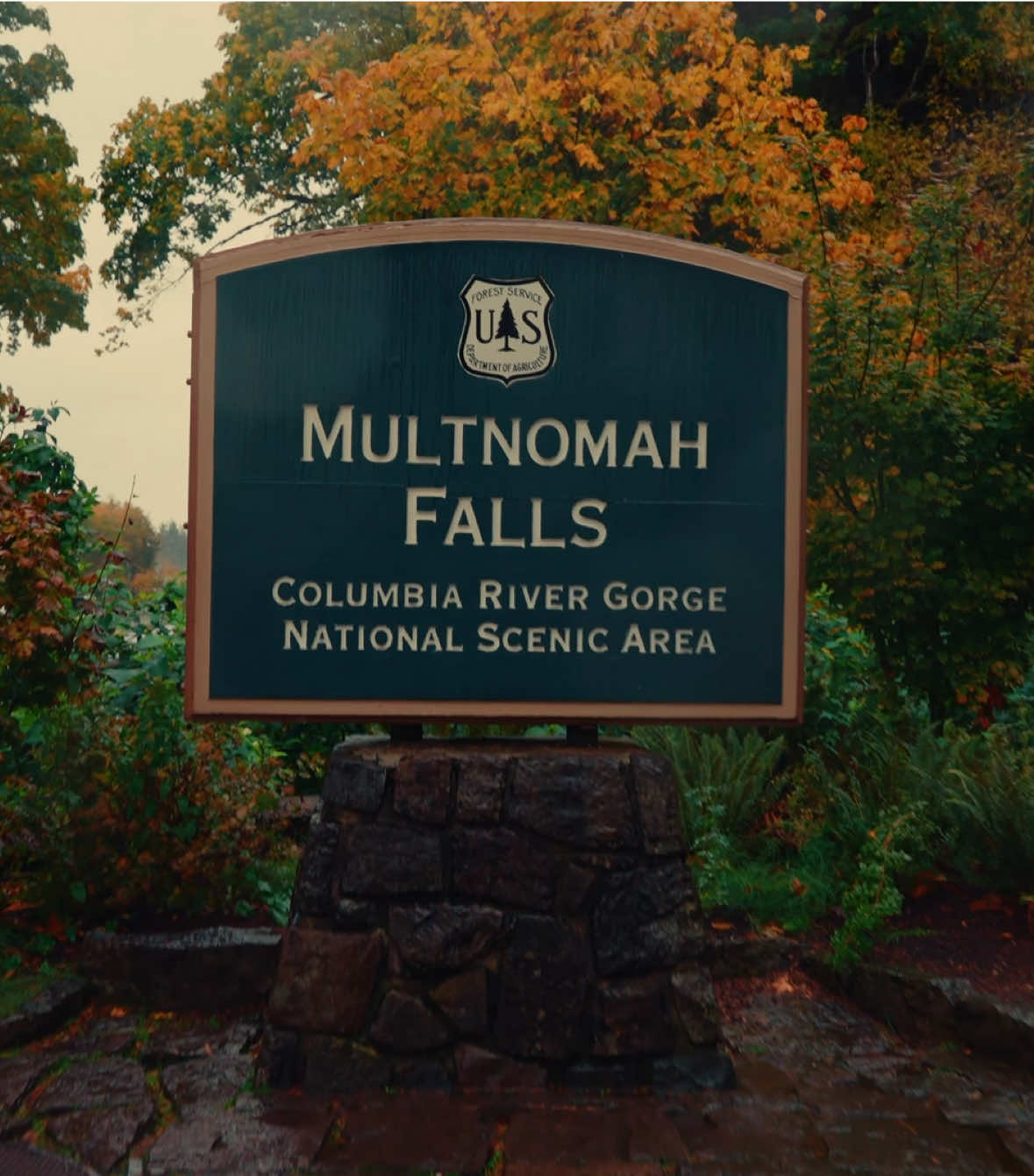 multnomah falls🙂‍↕️ ##pnw##pacificnorthwest##fall##waterfalls##travel
