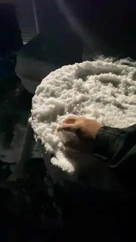 Info ngantemi 日本人  #kensusei🇮🇩🇯🇵 