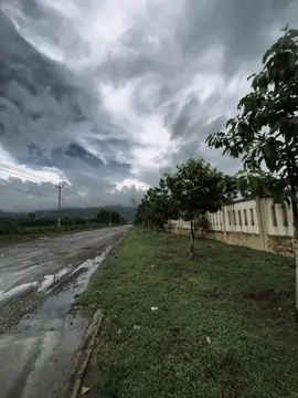 “当人们走投无路时，自然就没有力气再抱怨了……” 