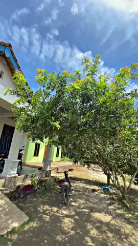 pantes umop hawane #fenomenaalam #sungaililin #fyp #foryoupage #musibanyuasin 