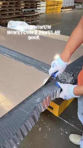 Honeycomb board material, door cabinet wall#Quanlv home furnishing#indoor door#Honey Comb Board