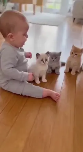 cute baby and cute cat 🐈😺🥰🥺🍼🐥