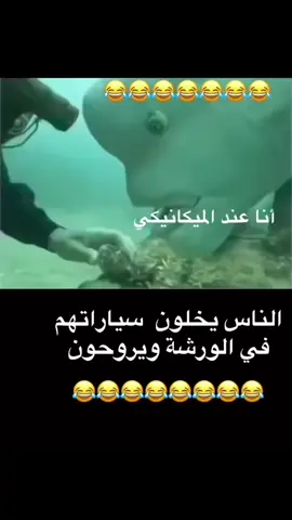 #شعب_الصيني_ماله_حل😂😂 