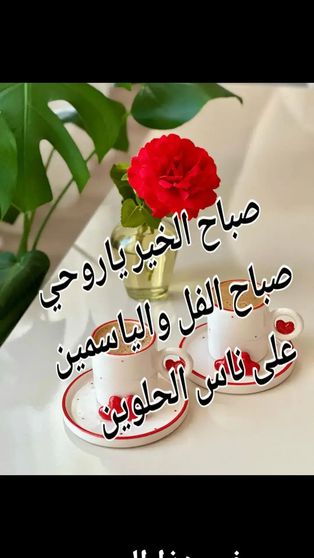 #في هذا اليوم 