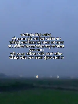 pakhi❤️‍🩹#foryoupage❤️❤️ #fyppppppppppppppppppppppp #vewsproblem🥺 #foryoupageofficial #fyyyyyyyyyyyyyyyy @TikTok 