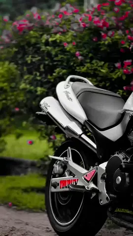 🕊️✨🤍.  Bcy9238                                                    #hornet #honda #white #viral #japan   @SʜᴀʀᴍI♥️ @𝐒𝐇𝐀 𝐑𝐎𝐍⚡️❌💫 @𝐋𝐮𝐟𝐟𝐲 𝐤𝐢𝐝🧡🏁 @MANOJ VTMMV💥1125💥🤘 @ᴍʀ_ꜱᴇᴇɴᴀ @𝐌𝐫 • 𝐃𝐊❕🖤 @Hirsh❌💥❗ @🍁𝗘𝗥𝗜𝗦_𝗞𝗜𝗗❗@NOVA….💥💢 @𝙉𝙄𝙂𝙃𝙏 𝙁𝙐𝙍𝙔❗️ 