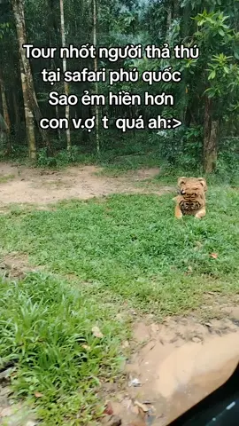 nhốt người thả thú#GreenCreator #VinWonders #dulich#nhotnguoithathu#jrslbym