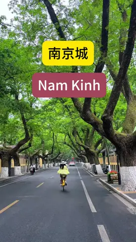 Đưa bạn bè Việt Nam đến thăm đường Nam Kinh Yihe và Dinh Chủ tịch Trung Hoa Dân Quốc!#TQ #VN #Nam Kinh#上热门 #南京 