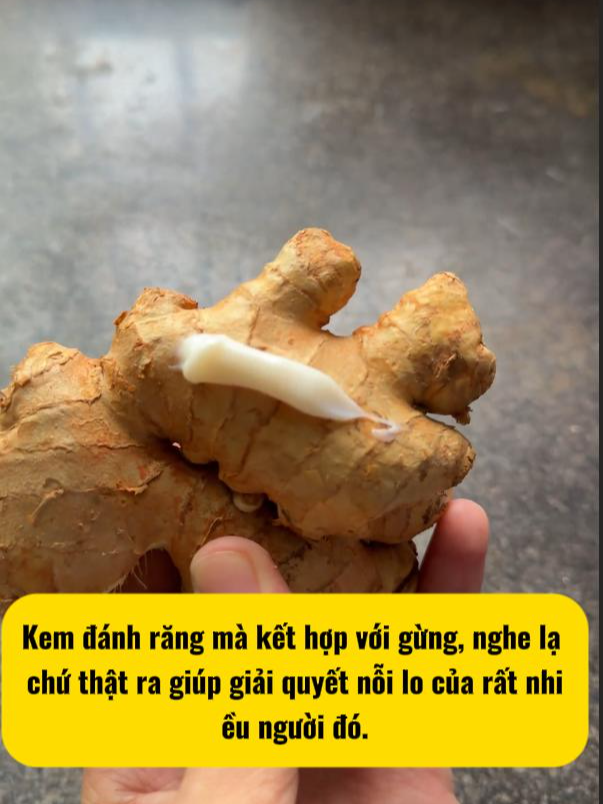 GỪNG VÀ KEM ĐÁNH RĂNG LÀM ĐẸP DA bạn đã biết bí kíp này chưa #meova#meovatcuocsong #lamdeptainha