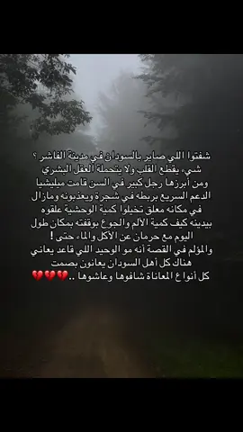 #انقذوا_السودان #اكسبلور #viral #fyp #explore 