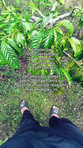 setidaknya Tuhan tau aku berusaha #fyp #petaniindonesia🇮🇩🇮🇩🇮🇩🌿🌿 #kopirobusta #lambar 