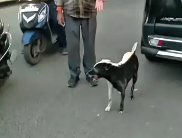 lên nào  #philip#NamYR #kamenrider #kamenrideredit #fyp 