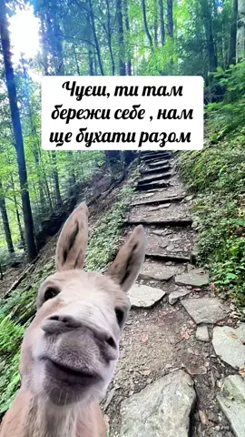 #MemeCut #MemeCut #MemeCut #MemeCut 