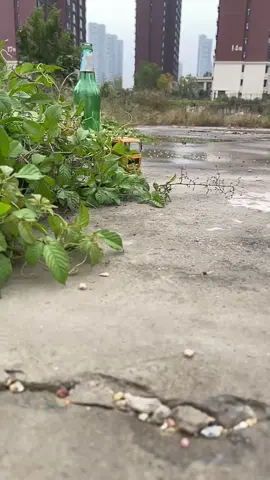 #Toys #EngineeringVehiclesToys #ToyVideos #ToyCars #RecommendedbyMothers 