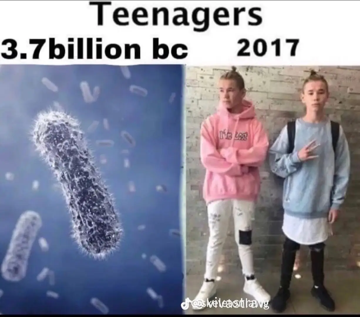 #meme #funny #slideshow 