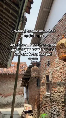 #fyp #fypシ゚ #virall #indramayu_tarling_cirebon #fyppppppppppppppppppppppp 