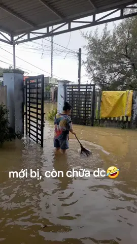 #lulutmientrung@Thị tuyết my Phạm 