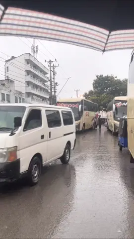 Did you know Tahmeed has 2 daily schedules from Busia to Mombasa? Bus 1 - Busia Msa via Bumala  1:00pm Bus  2 Busia Msa via Sabatia  2:00pm ☎️0115282100   254785713015 254752853689   www.tahmeedexpress.com #tembeakenya🇰🇪 #kenyantiktok🇰🇪🇰🇪🇰🇪🇰🇪 #mombasa001 #fypシ゚ #travel 