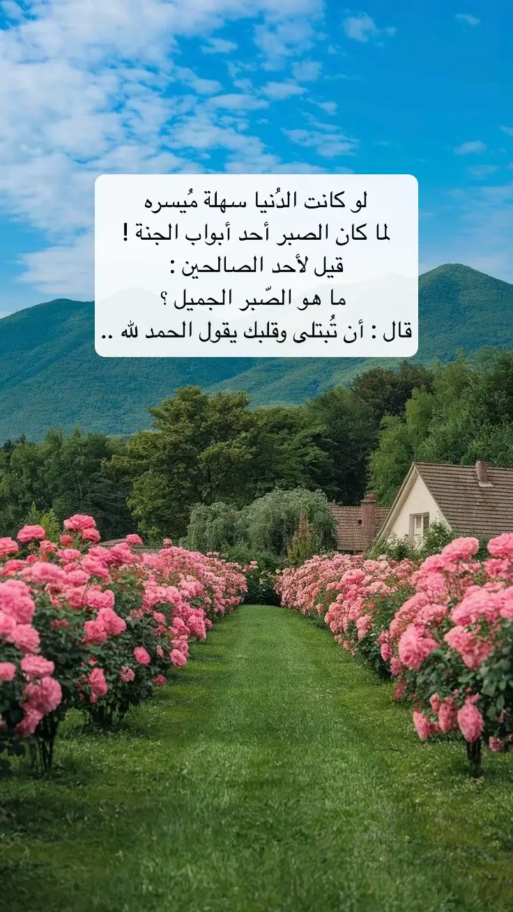 #creatorsearchinsights #الحمدالله_علی_کل_حال❤ #سبحان_الله #اكسبلور #كلمات 