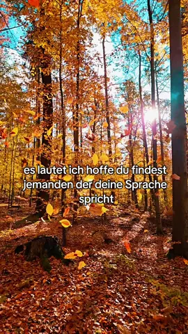 ❤️ #sprücheundzitate #herbst #autumn 