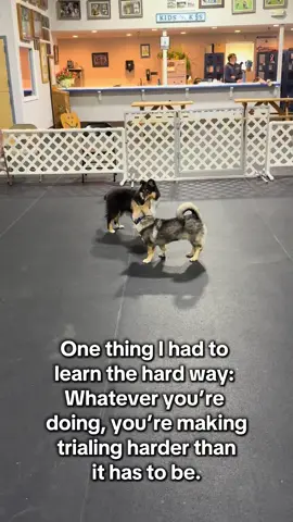 One thing I had to learn the hard way: rushing to move up in dog sports doesn’t prove anything—except how fast you can burn out. There’s no timeline. No gold star for skipping steps. Your dog isn’t a bullet point on a brag post. They’re your teammate. And they deserve a pace that honors that. #dogsoftiktok  #dogsportjourney #titlechasingdetox #dogteamfirst #progressnotpressure