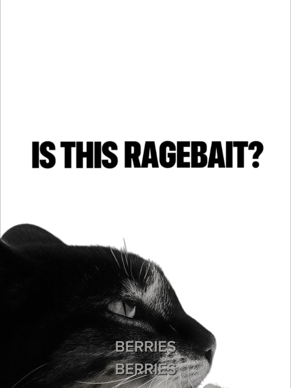 Here's the fixed version (better animations and font size fixed) if u want the decompressed hd wallpaper or the separated wallpapers you still need to dm me #animatedwallpaper #free #shushfeline #wallpaper #isthisragebait 