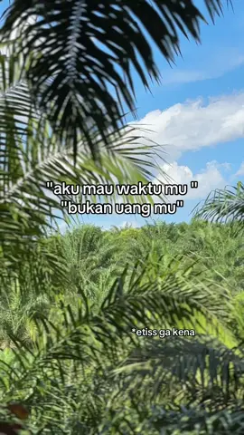 #petanimuda #storysawit🌴🌴 #petanisawit #sawitriau #kontenhiburan 