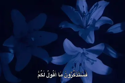 فَسَتَذۡكُرُونَ مَآ أَقُولُ لَكُمۡۚ وَأُفَوِّضُ أَمۡرِيٓ إِلَى ٱللَّهِۚ إِنَّ ٱللَّهَ بَصِيرُۢ بِٱلۡعِبَادِ ||😍♥️#عبد_الباسط_عبد_الصمد #quran #قرآن #قران_كريم 