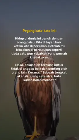 #qoutes #foryou #foryoupage #laguviral #CapCut 