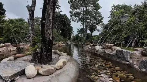 Giới thiệu sơ về khu vực Clamping tại Ula Resort#UlaBinhPhuoc #viral #UlaResort #camping #clamping