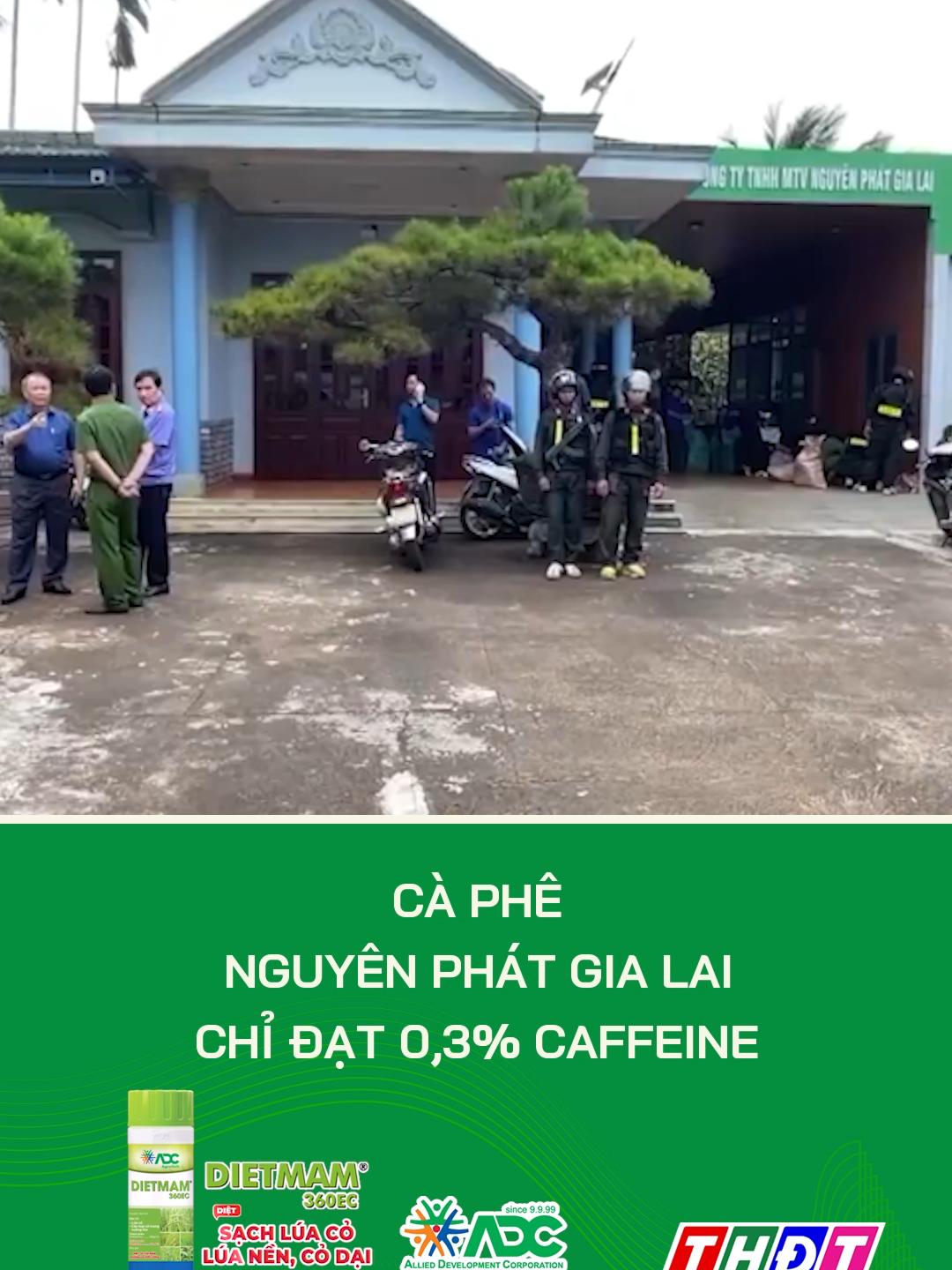 Cà phê Nguyên Phát Gia Lai chỉ đạt 0,3% caffeine #dongthap #dongthaptv #thdt #tiktokthdt #mcv #truyenhinhdongthap #tiktoknews