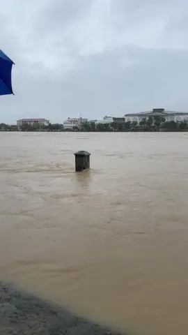 Cộc mốc lũ 2025 Tại Cầu Châu Ổ Ngày 29/10/2025 #lutquangngai #chauobinhsonquangngai🤗 