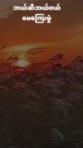 ###သီချင်းချစ်သူများအတွတ် ###