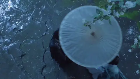 my parents 🥹✌️ ib: @xiziity #loveintheclouds #luyuxiao #houminghao #cdrama #fyp #jibozai #mingyi #viral #cdramarecommendations #fypp 