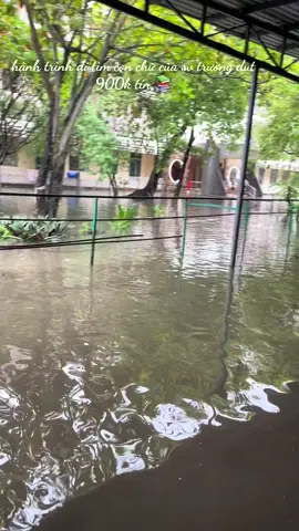 #bachkhoa #xuhuong #trending #sinhvien #bachkhoadanang 