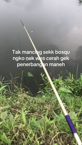 Layangane preii sek kang ben cuacane cerah sekk😅 #promomakangajian #mancingliar #layangan2025 #fypmancing #fypシ゚viral 