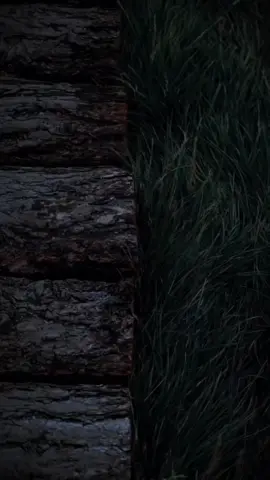 #fyppppppppppppppppppppppp 