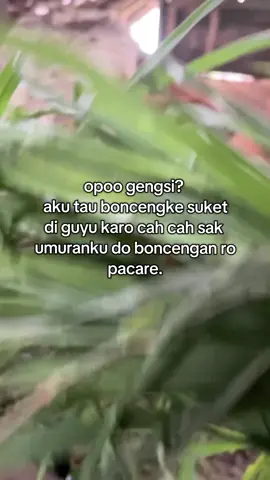 #sobatngaret #fyp24jam #viraltiktok #sapi #antigengsi 