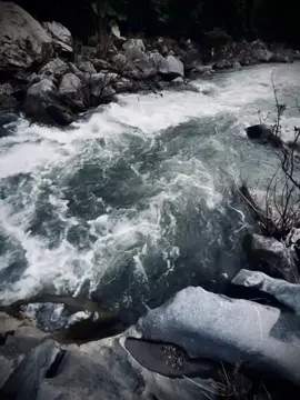 Con pho do em van dung ngay dai..#buon_tam_trang #motthanghamchxnhunaymacoduocemlamayman 